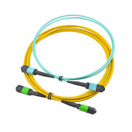 12 kernmpo MTP Kabel, de Gele Assemblage van de de Vezel Optische Kabel van de Kleurenboomstam voor SFP