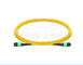 Mpo-MPO de vrouwelijke kabel SM 12 het koord gele kabel 10m van MPO MTP van het kernflard
