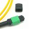 USCOME 24 Kernmpo MTP Kabel G657A1 LSZH 3,0 de Enige Aangepaste Lengte van het Wijzeflard Koord