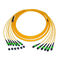 Enige Wijze 9/125 Vezel Optische Kabel 12 Vezelboomstam MTP/MPO-Pvc van het Flardkoord
