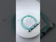 OM3 SM MPO Breakout Cable PVC / LSZH Jacket voor MTP Patch Panel
