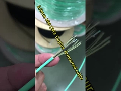 5M Multimode FC Fiber Patch Cord PVC en LSZH 3.0 Diameter Simplex Fiber Cable