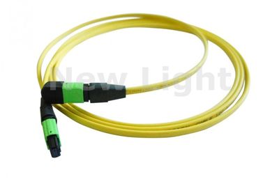 kopen Enige Wijze 12 Kernmpo MTP Kabel/MTP-Boomstamkabel met APC Pools Goedgekeurd Ce online manufacture