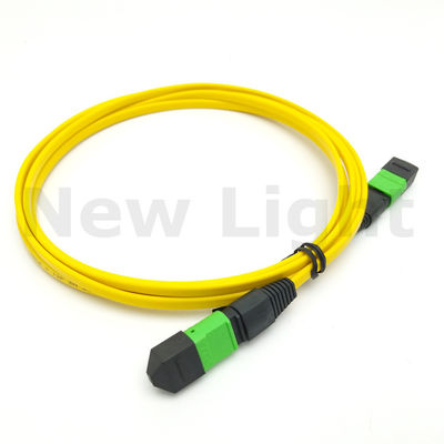 kopen 1m Single Mode MPO MTP Kabel met Male/Female Connector voor Fiber Patch Cord met Lage Invoegverlies online manufacture