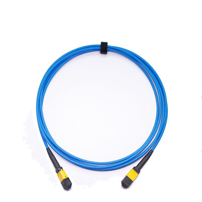 kopen Laag Invoegverlies ≤ 0,35 dB 24 Core MPO MTP-kabel met LSZH-materiaal Fiber Optic Patch Cord online manufacture