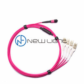 kopen Transmissie 12 van OM4 100G de Kabel van het Bundelmtp Flard online manufacture