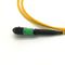 USCOME 24 Kernmpo MTP Kabel G657A1 LSZH 3,0 de Enige Aangepaste Lengte van het Wijzeflard Koord