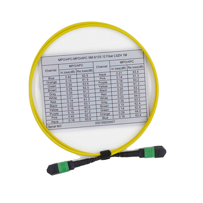 Vrouwelijke OS2 9/125 Kabel 12 van MPO MTP Koord van het Vezel Multimode Flard