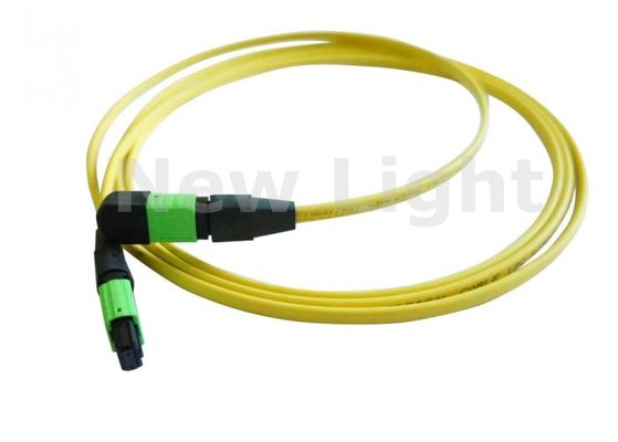 Single Mode 12 Core MPO MTP Kabel met APC Polish CE Goedgekeurde MTP Trunk Kabel