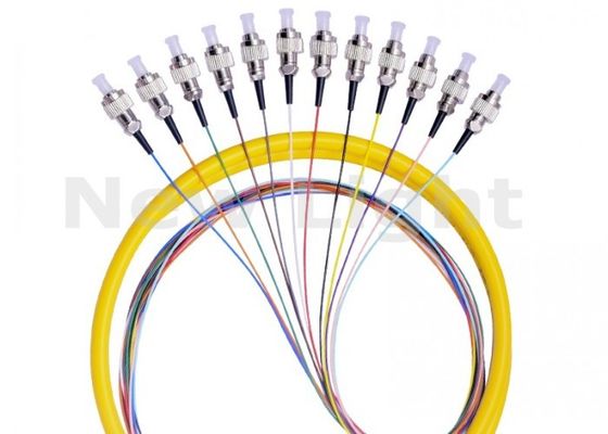 FC UPC 12 Core Single Mode Fiber Optic Pigtail met 0,9 mm diameter voor gegevensoverdracht
