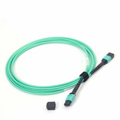 Vrouwelijke MPO naar MPO Fiber Patch Cord OM4 50/125 24 Core Multimode met LSZH Materiaal 10ft Lengte