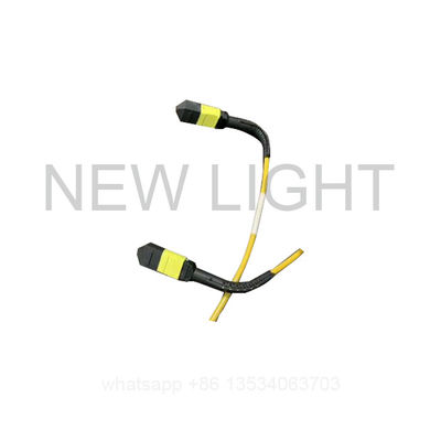 40G/100G 1300nm MTP Glasvezel Jumper met Aangepaste Lengte voor High-Speed Gestructureerde Bekabeling